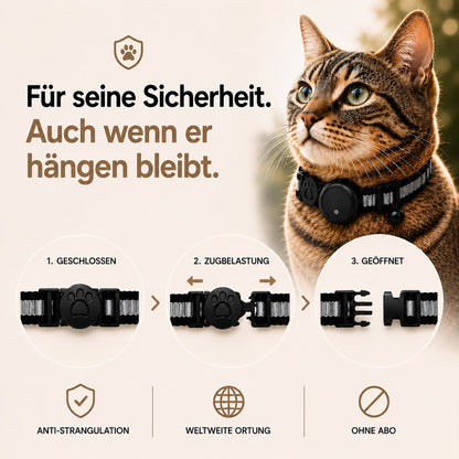 Félis – Intelligentes Tracker-Halsband