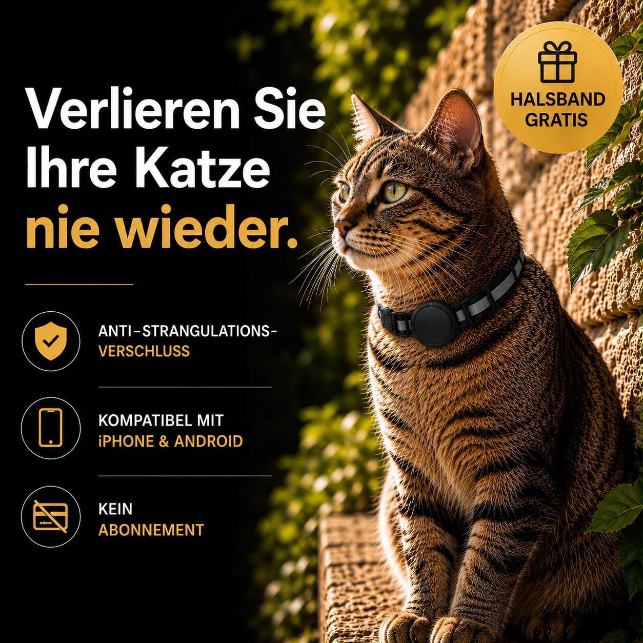 Félis – Intelligentes Tracker-Halsband