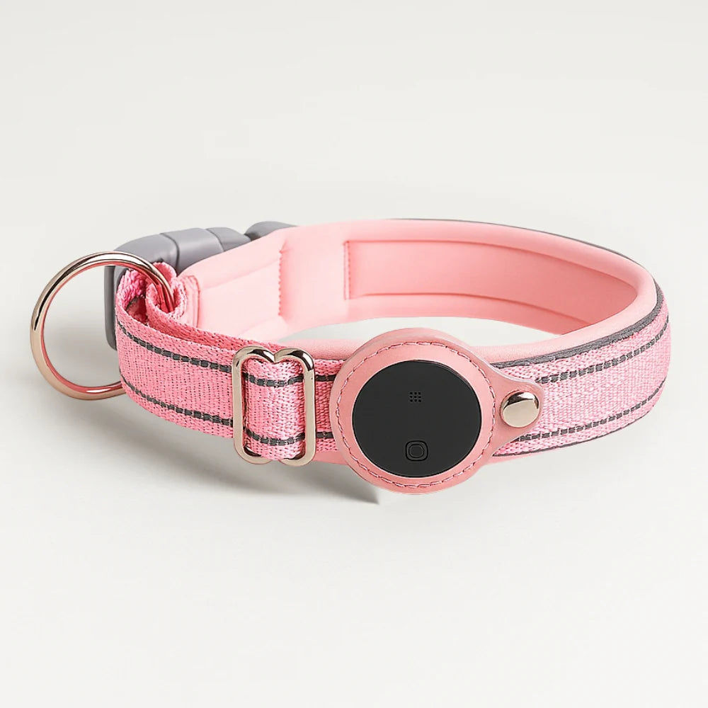 Pisteo – Intelligentes Hundehalsband