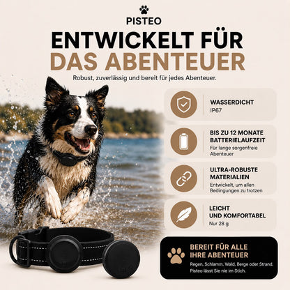 Pisteo – Intelligentes Hundehalsband