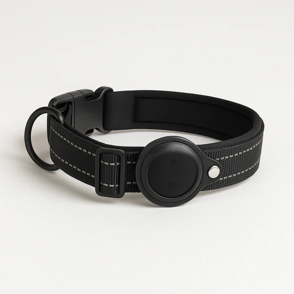 Pisteo – Intelligentes Hundehalsband