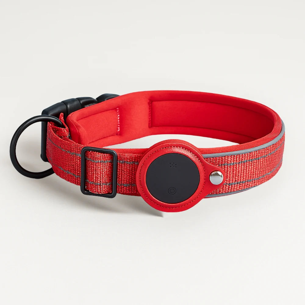Pisteo – Intelligentes Hundehalsband